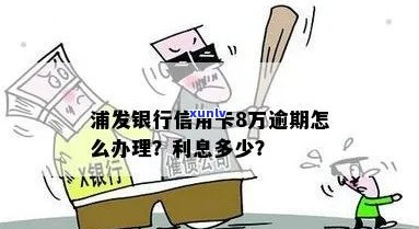 浦发银行信用卡逾期超过8万，如何解决高额利息还款难题？