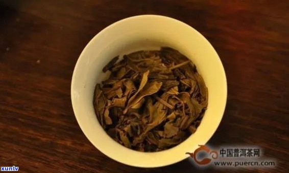 大益1501茶缘：品茗之道，茶文化解析与鉴，新手指南