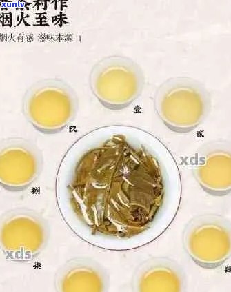 探索普洱茶的多元化搭配：哪些配料能提升其口感和风味？