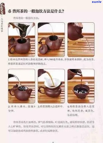 全面解析普洱茶入门：挑选、品鉴、泡法一应俱全，让你轻松成为普洱茶专家！