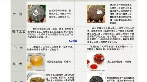 普洱茶入门吧贴吧：初级入门知识与新手必备宝典