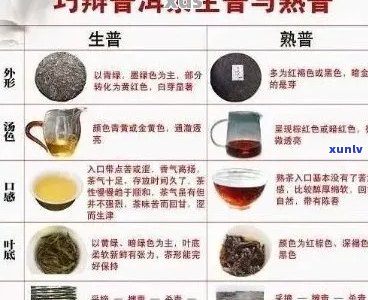 普洱茶新手入门必知技巧：从原料到冲泡，全方位指南！