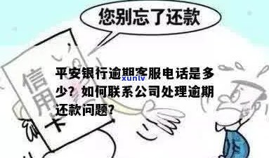 关于平安信用卡逾期问题，如何高效联系 *** 进行协调？