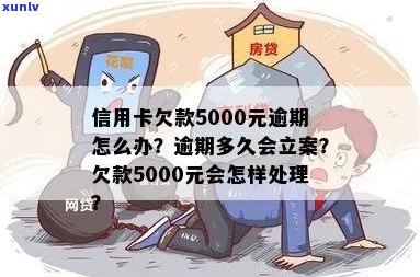 当信用卡欠款5000元逾期了，该如何处理？