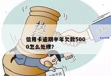 当信用卡欠款5000元逾期了，该如何处理？