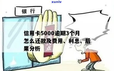 当信用卡欠款5000元逾期了，该如何处理？