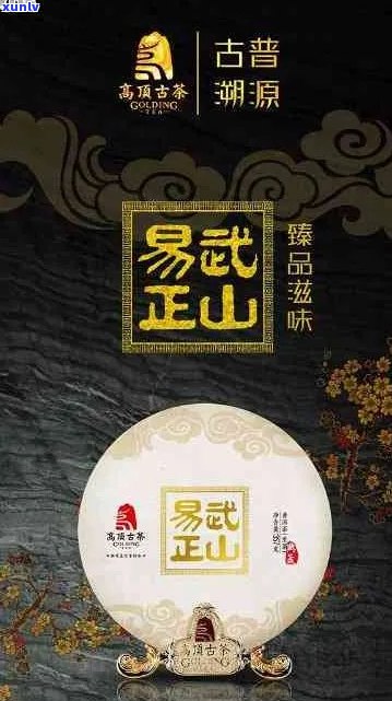 新 易武正山特级普洱茶：品质纯正，回味悠长，值得品鉴的经典之作