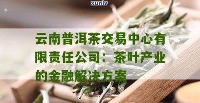 普洱茶交易中心股份：探索茶叶市场，提供全方位茶叶交易服务