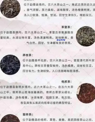 云南十八怪普洱茶：价格解析与品鉴指南