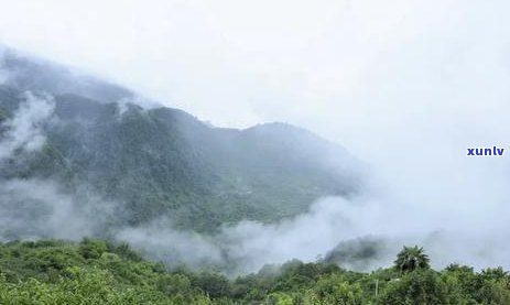 普洱茶潮湿能否晒太阳？