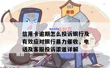 欠信用卡被，打哪个 *** 投诉有效？