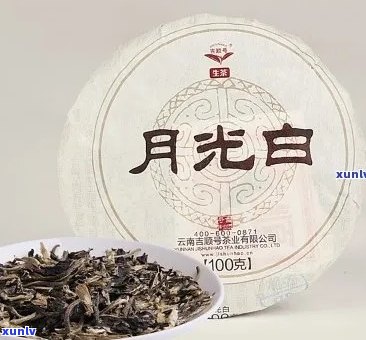 月光白普洱茶：古树之魂，原生态的纯净之美