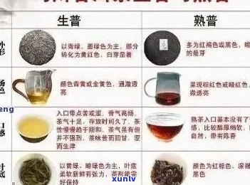 普洱茶品鉴全攻略：如何品饮熟普洱茶，让你喝出不同风味！