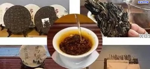 什么样的普洱茶保质期最长，最短？哪些普洱茶值得存放？存放多久后喝？