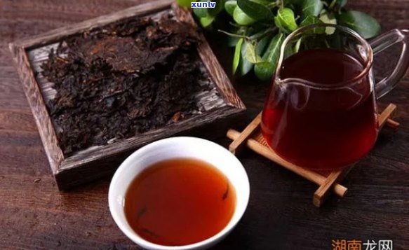 失眠者，喝普洱茶：生茶还是熟茶更适宜？