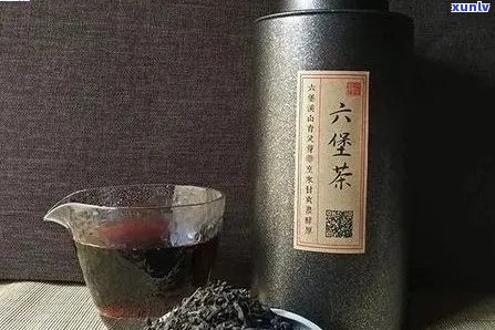 泰号普洱茶7548:品种、产地、口感、年份全方位解析与品鉴指南