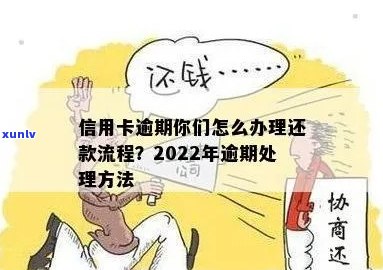 2022年信用卡逾期处理全攻略：如何规划还款、应对和恢复信用？