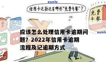 2022年信用卡逾期处理全攻略：如何规划还款、应对和恢复信用？