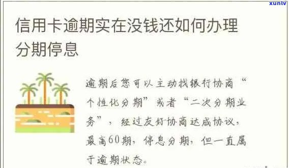 办理个性信用卡逾期的后果及处理流程