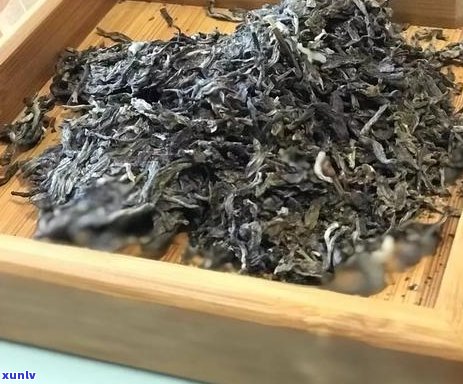 普洱茶熟叶片底的特征与品质分析