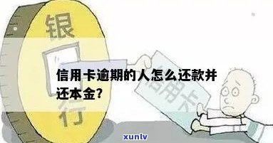 信用卡逾期后如何进行本金还款？