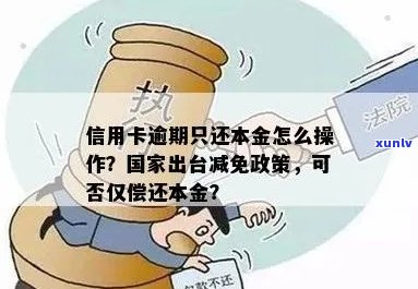 信用卡逾期后如何进行本金还款？了解全面还款方式及相关政策