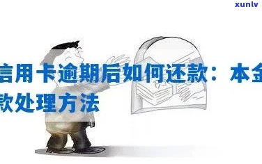 信用卡逾期后如何进行本金还款？了解全面还款方式及相关政策