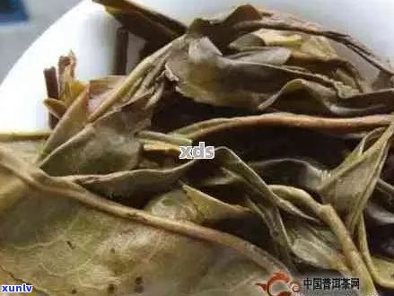 普洱茶的叶底怎么辨别好坏和真假：掌握这些技巧，轻松鉴别普洱茶叶底质量