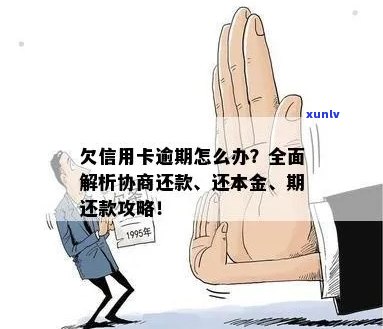 信用卡逾期后如何进行本金还款？了解全面还款方式及相关政策