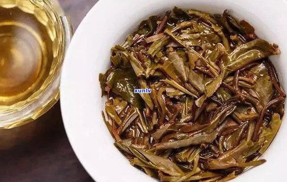 普洱茶10年后叶底