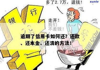 信用卡逾期本金还款结清流程是什么？欠信用卡逾期后只还本金可以吗？