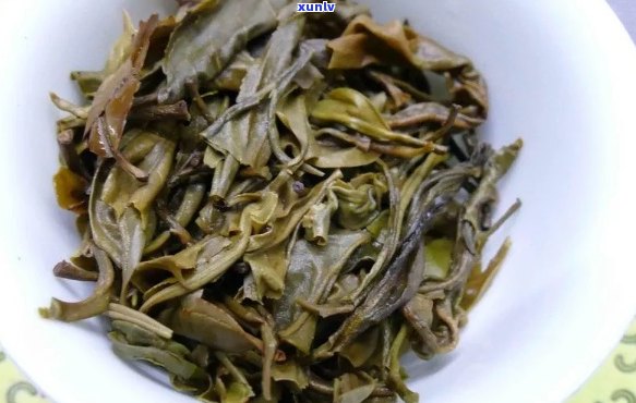 普洱茶10年后叶底