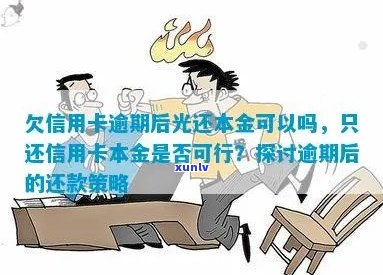 信用卡逾期还款策略：仅还本金是否可行？