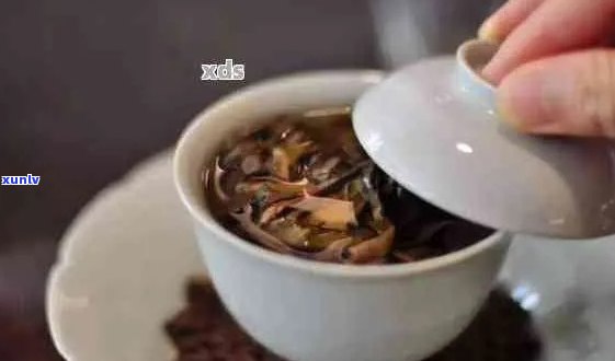 普洱茶冲泡技巧：怎样泡出一杯好茶？