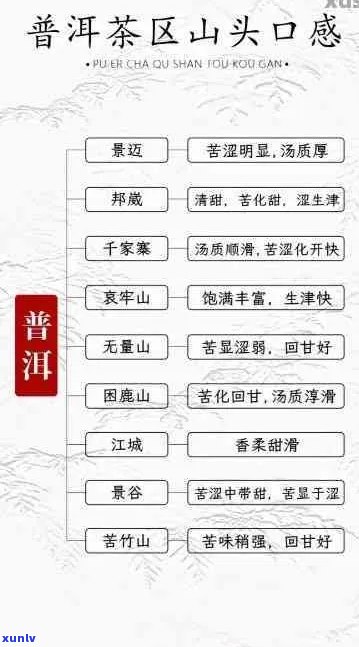 全面了解口感的普洱茶排名 - 一份满足您需求的权威指南