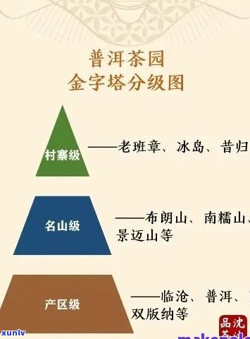 全面了解口感的普洱茶排名 - 一份满足您需求的权威指南