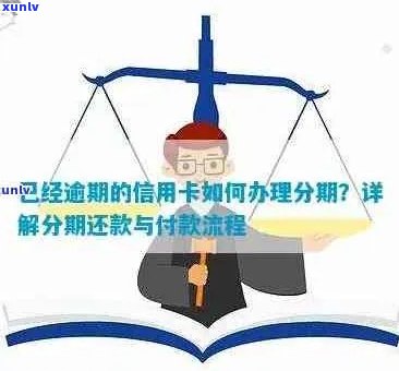 逾期信用卡还款攻略：详细步骤与注意事项