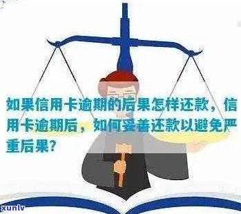 逾期信用卡还款与司法程序：了解可能的后果和应对策略