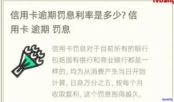 行用卡逾期利息计算方式及其影响因素分析