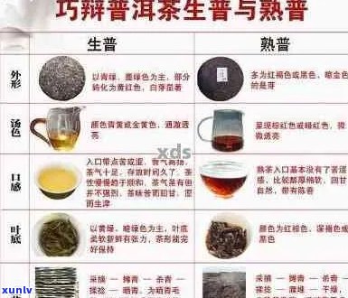 新探索大益普洱茶：品种、 *** 工艺、品饮 *** 与健益处全方位解析