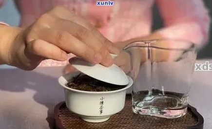 普洱茶泡法：如何掌握浓淡适宜的冲泡技巧？