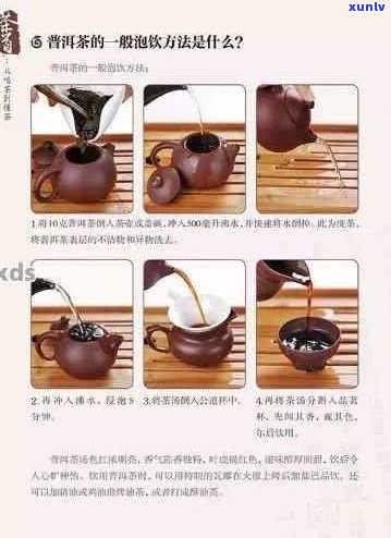 普洱茶泡法：如何掌握浓淡适宜的冲泡技巧？