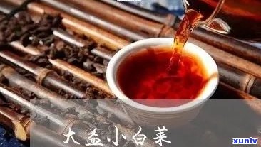 大益普洱茶小白菜：品鉴、冲泡与功效详解，让您全面了解这款茶叶的魅力