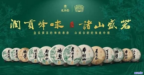 龙润南春普洱茶怎样