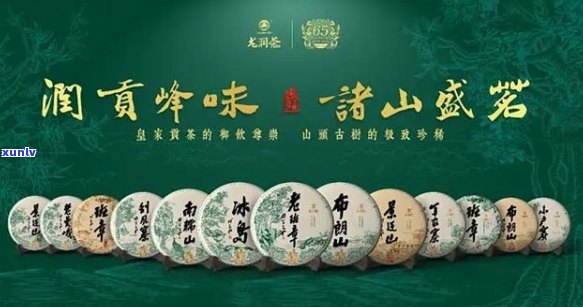 龙润南春普洱茶怎样