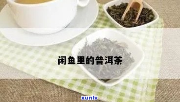 如何在闲鱼平台上发布普洱茶？