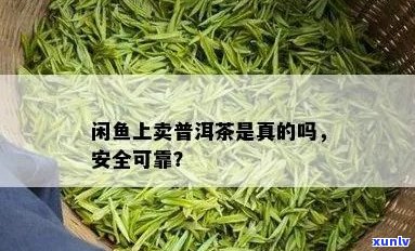 如何在闲鱼平台上发布普洱茶？