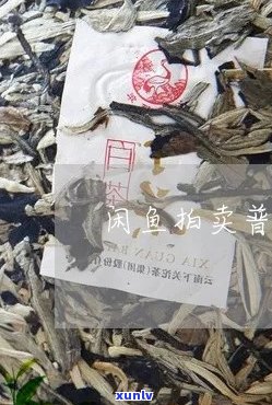 如何在闲鱼平台上发布普洱茶？