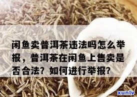 闲鱼发布普洱茶规定与安全性