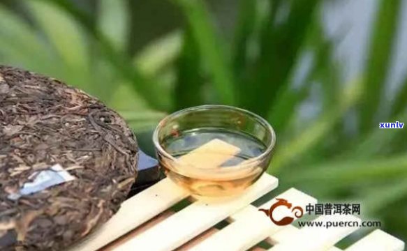 普洱茶的神奇效果：喝后肚子饿得更快！